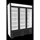 UDD 1600 D3KL NF- Upright freezer with glass door